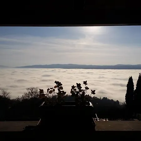 La Terrazza Restaurant & Assisi