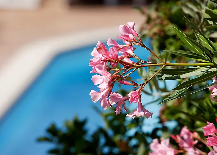 La Terrazza Restaurant & 3*