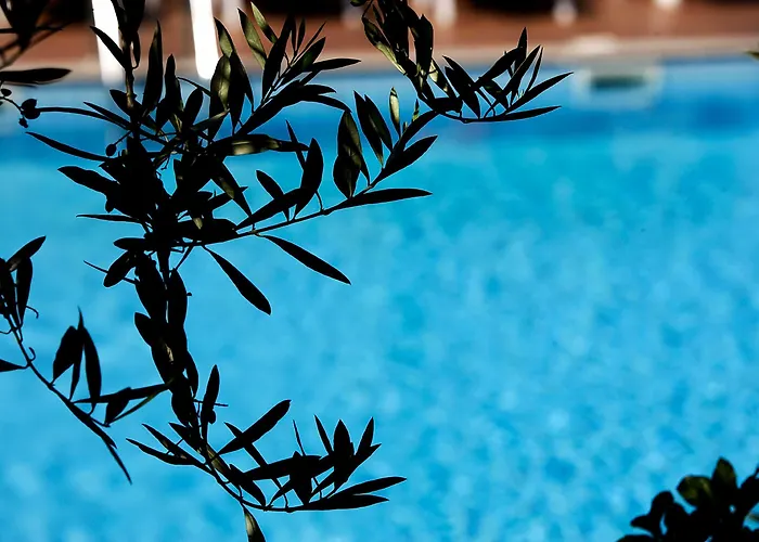 La Terrazza Restaurant&spa 3* Assisi