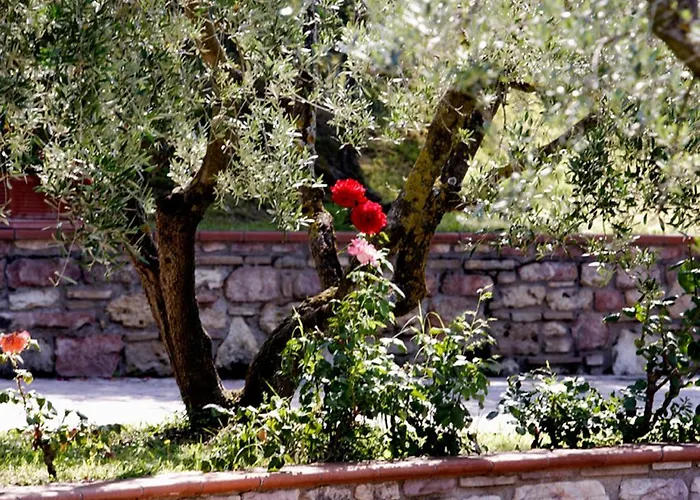 La Terrazza Restaurant & Hotel 3*