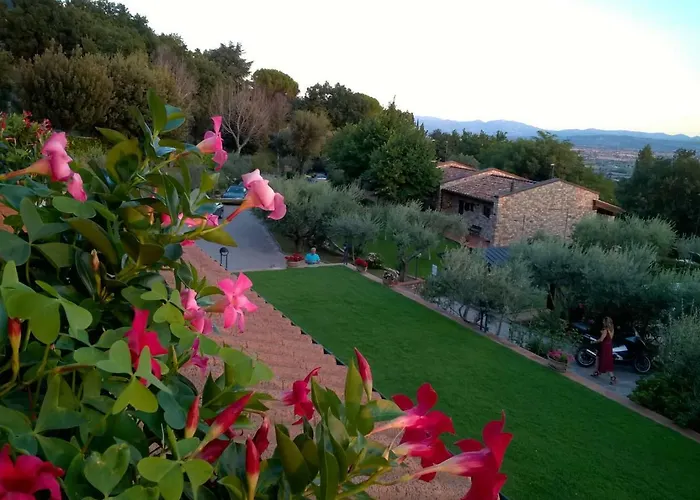 La Terrazza Restaurant & 3*